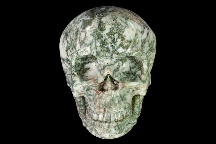 Realistic, Polished Tree Agate Skull #150875